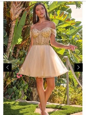 Elizabeth K Off-Shoulder Beaded Corset Short Dress Champagne Junior Size Medium